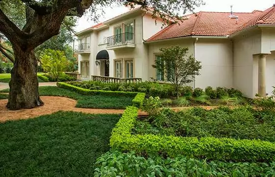 landscaping services texas