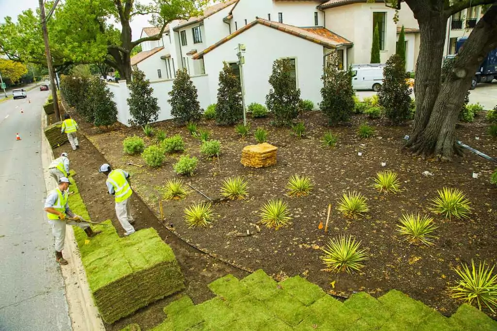 Installing a Lawn Drainage System